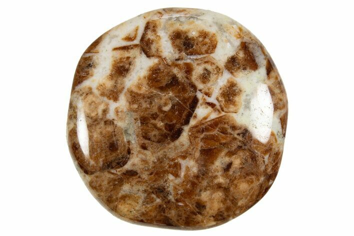 Polished Garnet In Wollastonite Stone - Namibia #343976